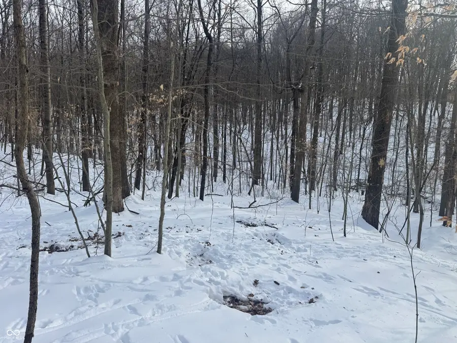 0000 SW Side Morgan Lane, Pekin, IN 47165 - #2