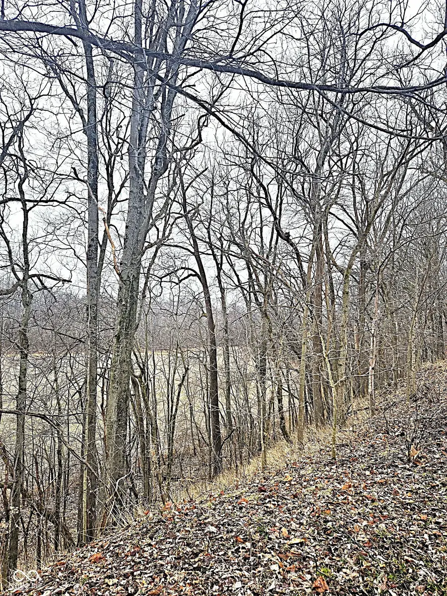 5921 N County Road 500 E, Bainbridge, IN 46105 - #2