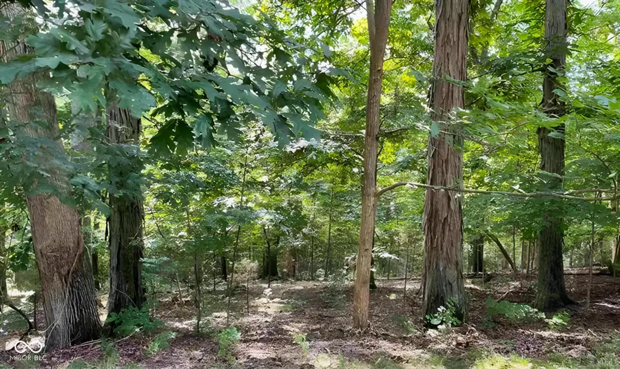 8828 S Morrison Court, Bloomington, IN 47401 - #3