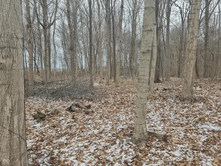 4148 E Indiana 28, Tipton, IN 46072 - #2