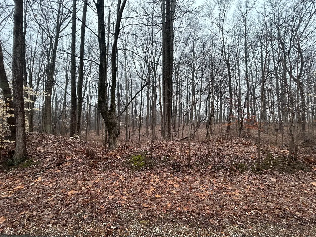 XXX S Paradise Bay Boulevard, Rockville, IN 47872 - #1