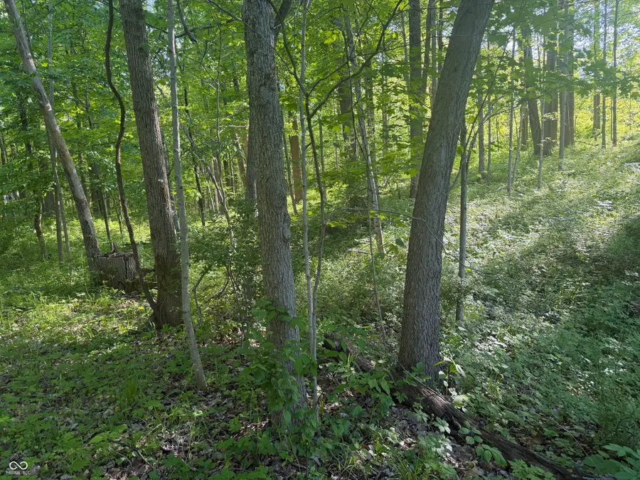 XXX S Paradise Bay Boulevard, Rockville, IN 47872 - #2