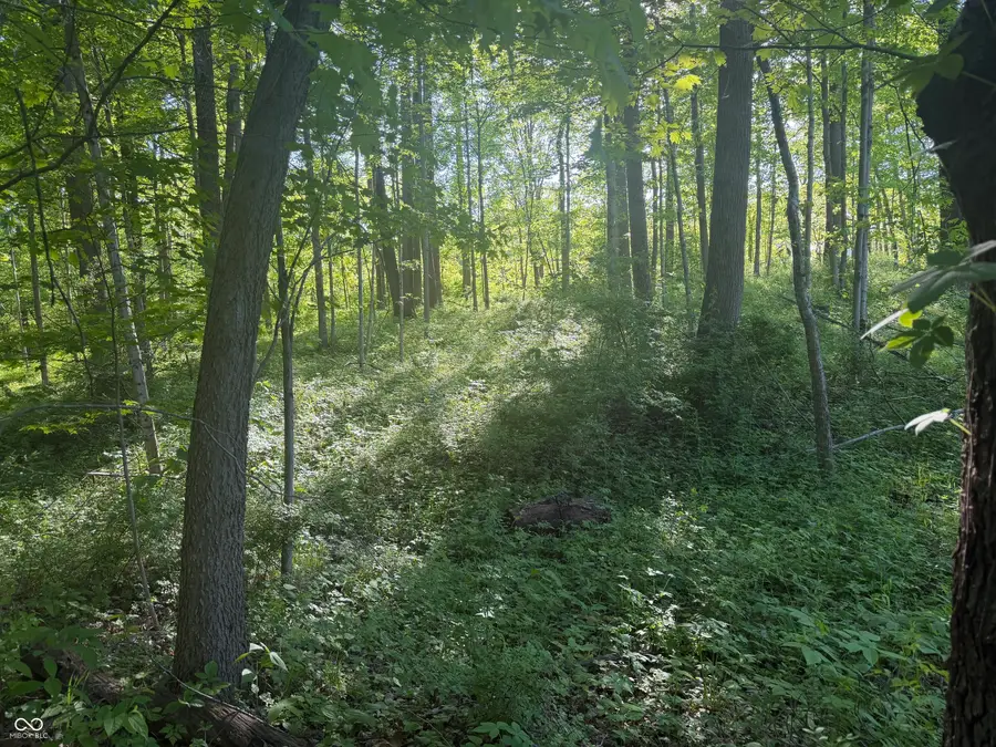 XXX S Paradise Bay Boulevard, Rockville, IN 47872 - #3