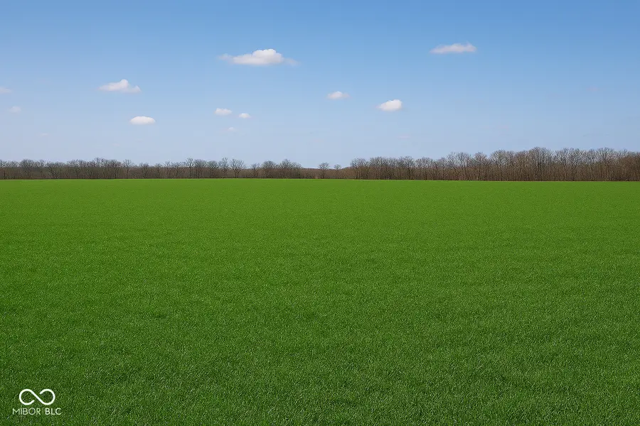 5690 and 5790 W 300 S, Jamestown, IN 46147 - #2