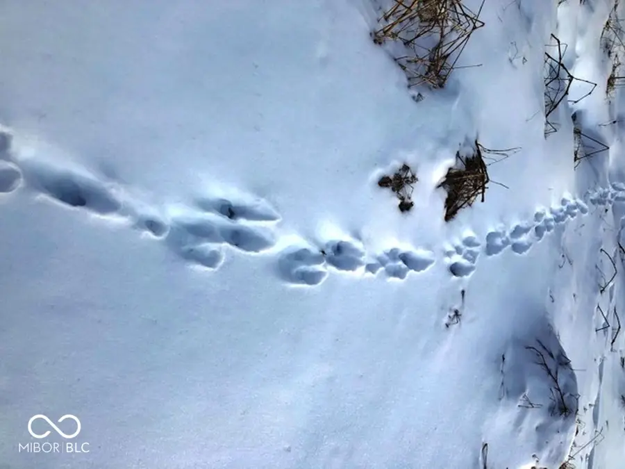 12570 W State Road 32, Yorktown, IN 47396 - #3