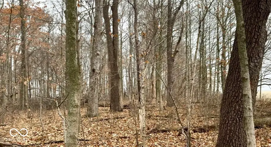 300 North, Huntington, IN 46750 - #2