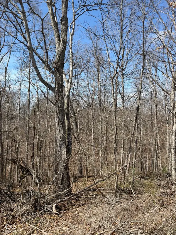 0 Treetop Lane, Nashville, IN 47448