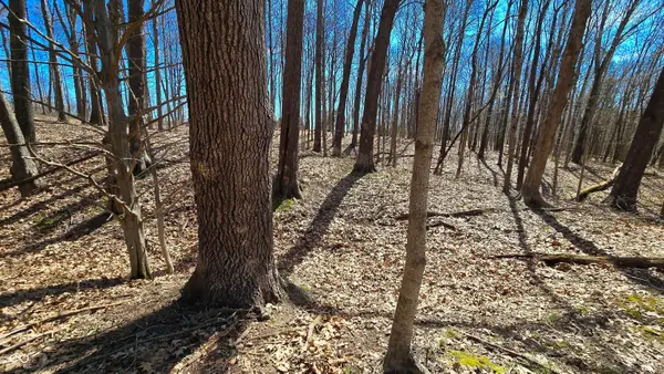 0 Spangler Road, Dillsboro, IN 47018