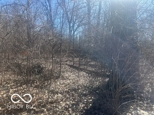 4559 Coburn Avenue, Indianapolis, IN 46228 - #2