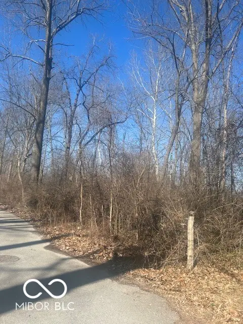 4559 Coburn Avenue, Indianapolis, IN 46228 - #3