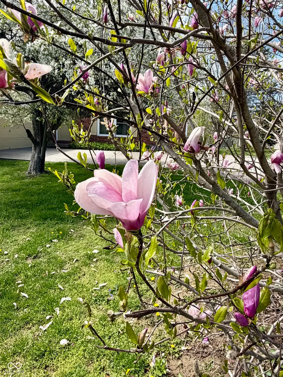 690 Kirkwood Drive, Greencastle, IN 46135 - #3