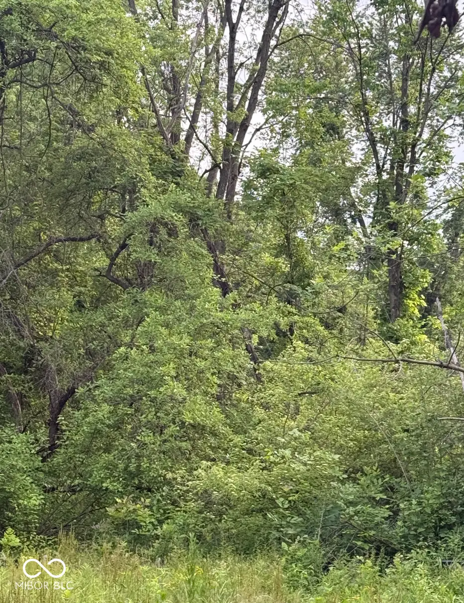 2972 Opal Street, Indianapolis, IN 46268 - #1