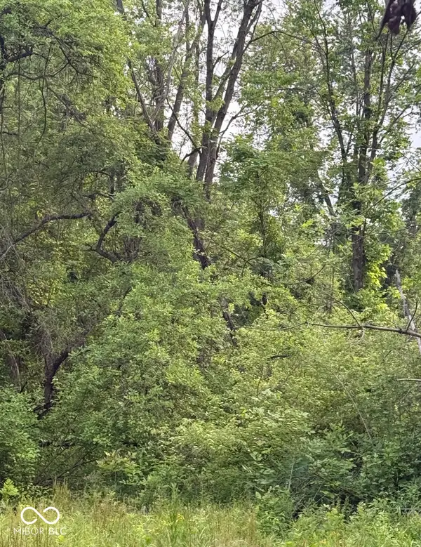 2972 Opal Street, Indianapolis, IN 46268