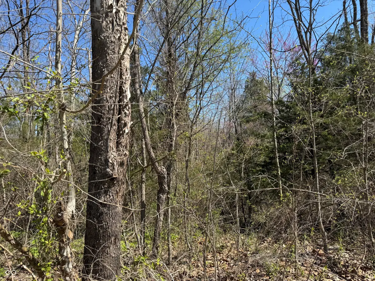 Lot B-21 State Highway 46, Spencer, IN 47460 - #1