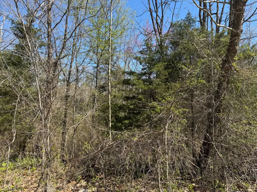 Lot B-21 State Highway 46, Spencer, IN 47460 - #3