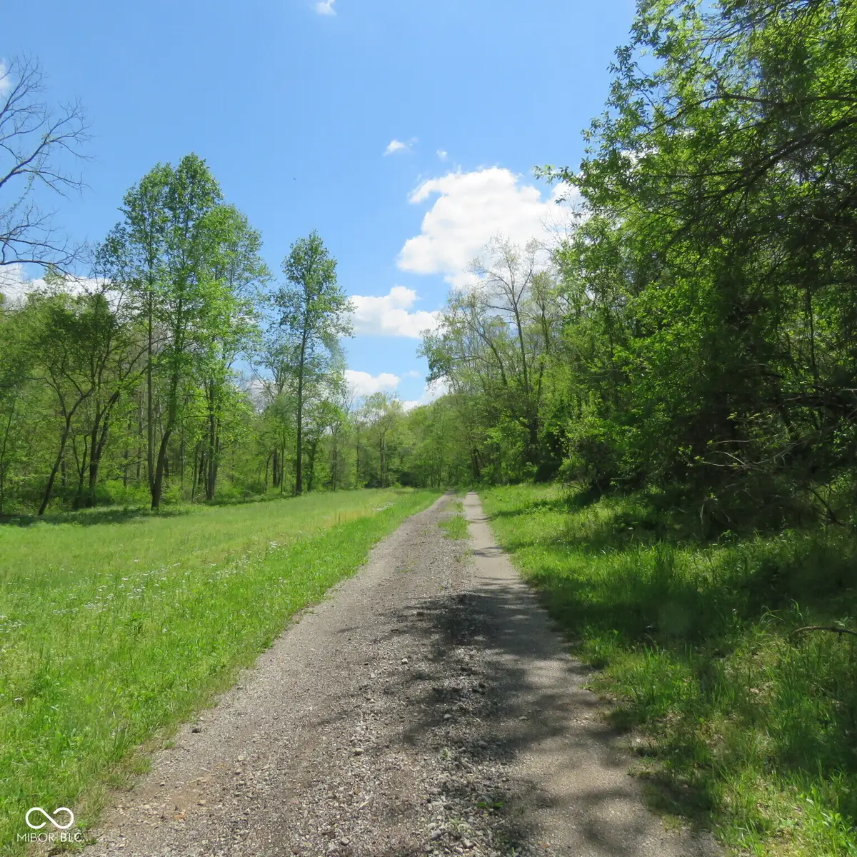 11265 Arnold Miller Road, Canaan, IN 47224 - #1
