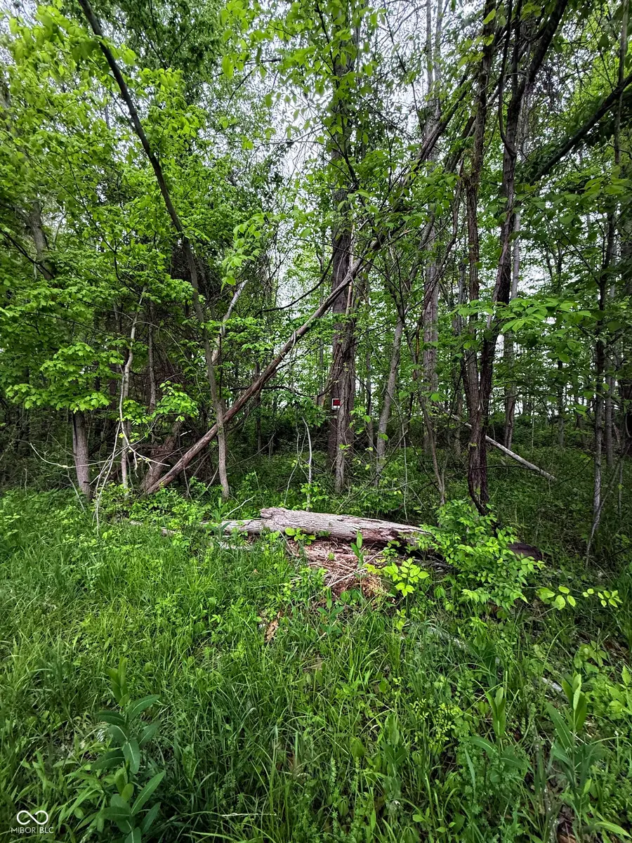 00 Buckingham West Drive, Crawfordsville, IN 47933 - #2