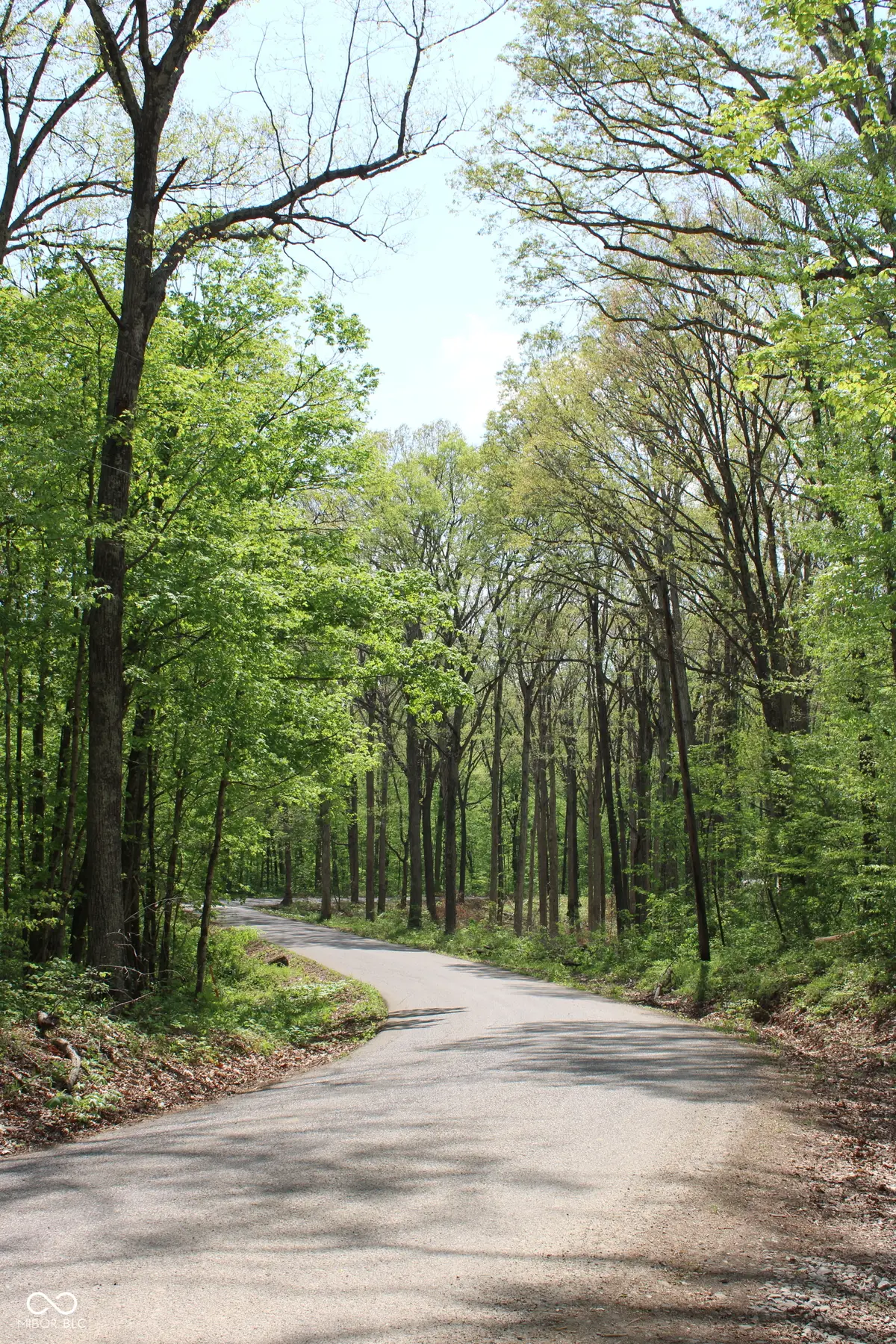 Tract 3: 0 N County Road 555 E, Campbell, IN 47265 - #1