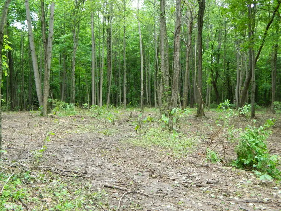0 E County Road 700 N, Seymour, IN 47274 - #3