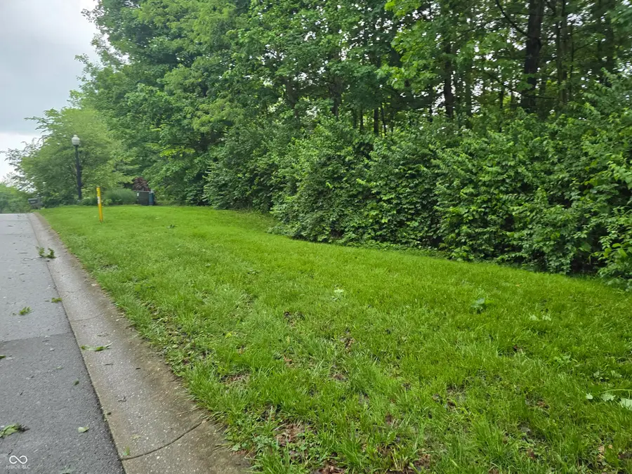 9895 Irishmans Run Lane, Zionsville, IN 46077 - #2