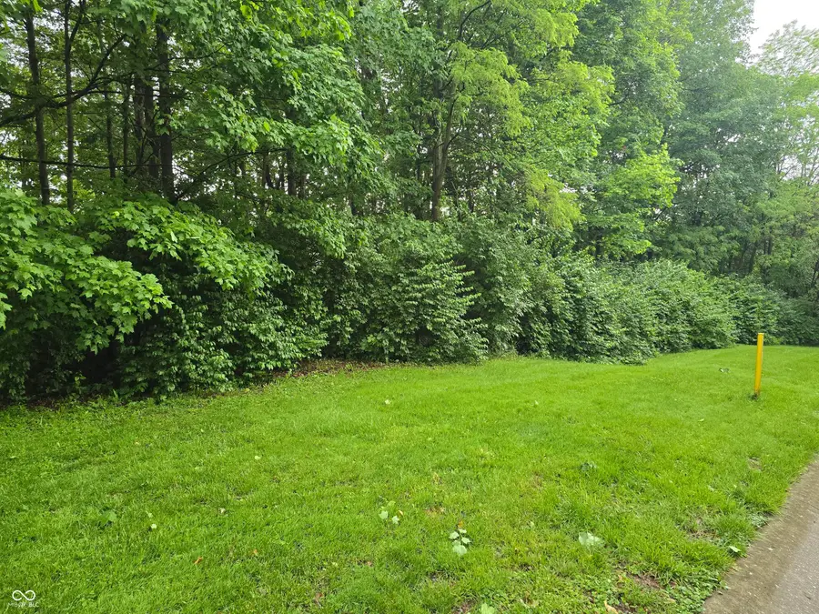 9895 Irishmans Run Lane, Zionsville, IN 46077 - #3