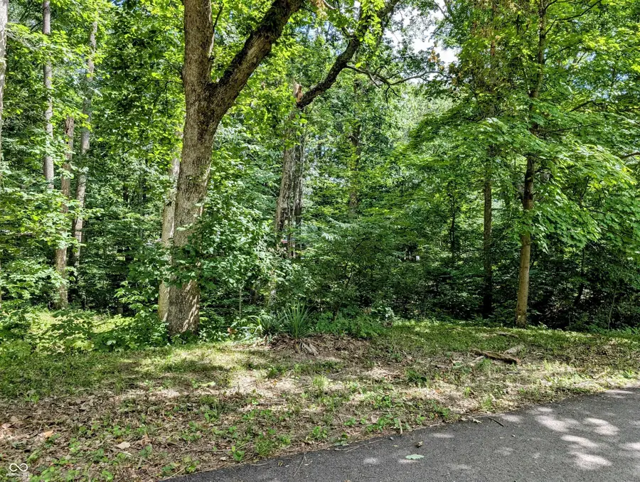 0 S Cove Road, Martinsville, IN 46151 - #3
