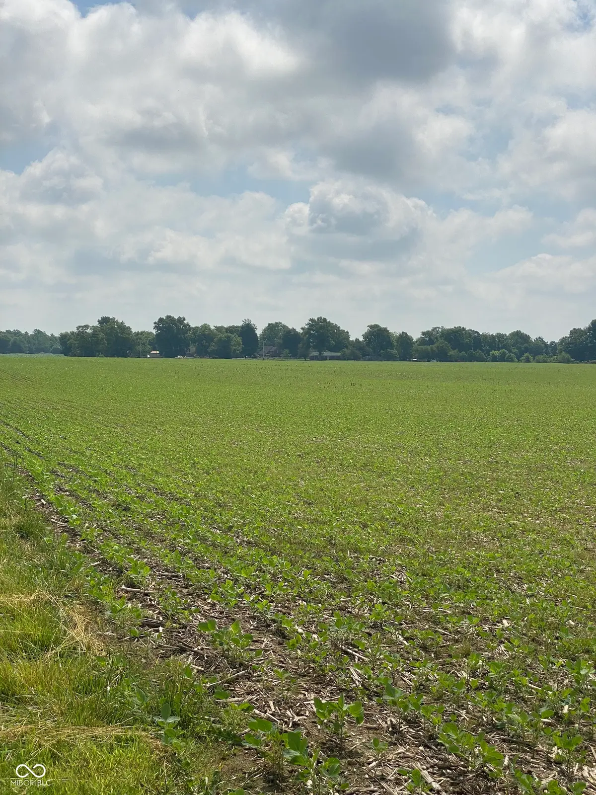 TBD E State Road 236, North Salem, IN 46165 - #1