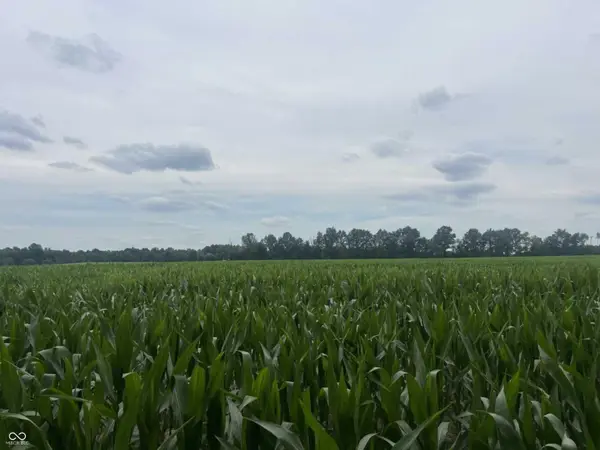 0 W State Rd 250, Paris Crossing, IN 47270