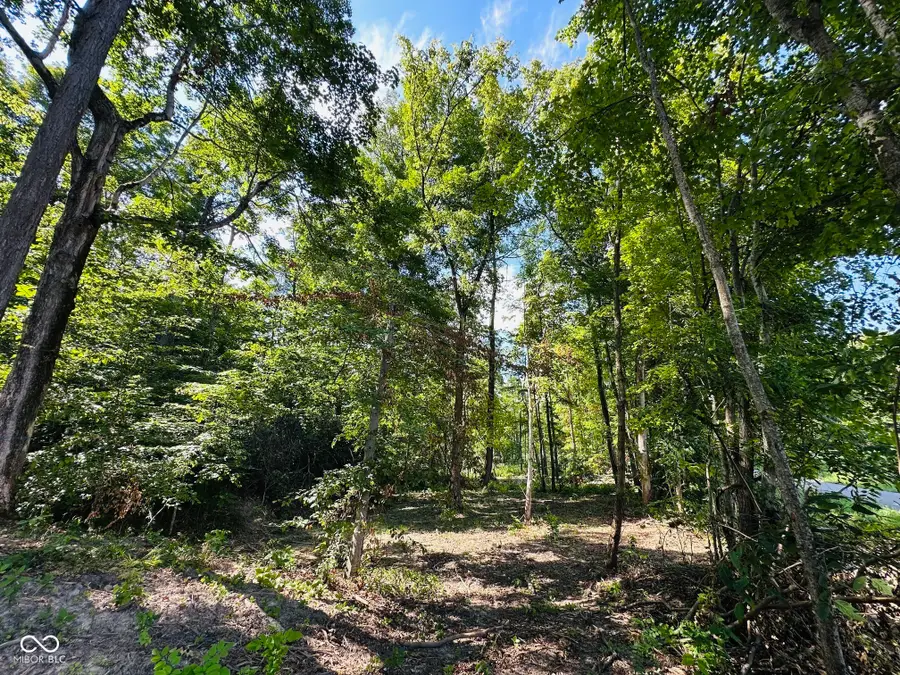 Tract C W Private Rd 775 S, Commiskey, IN 47227 - #3