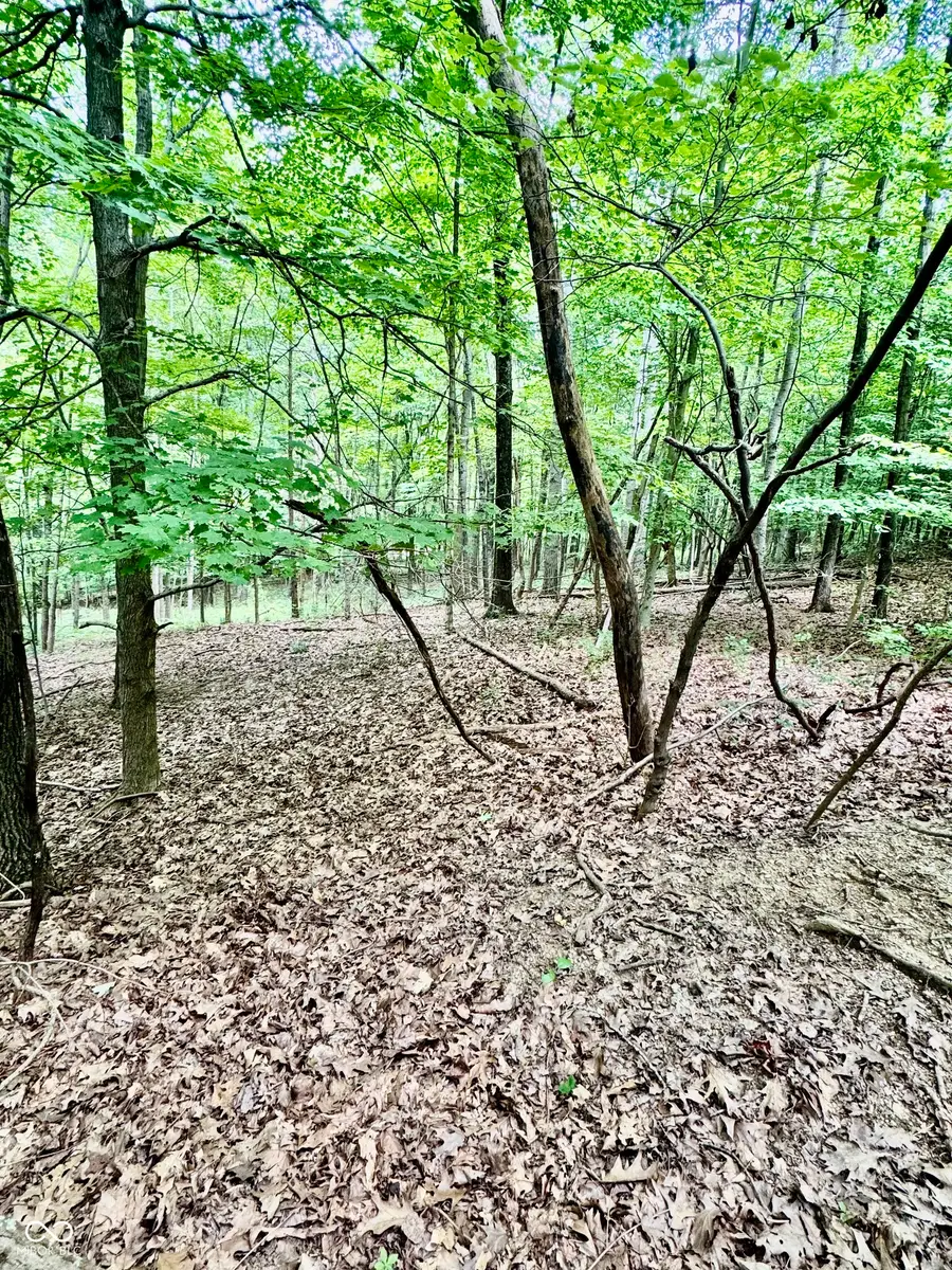 0 E Parkwood Drive, Martinsville, IN 46151 - #3