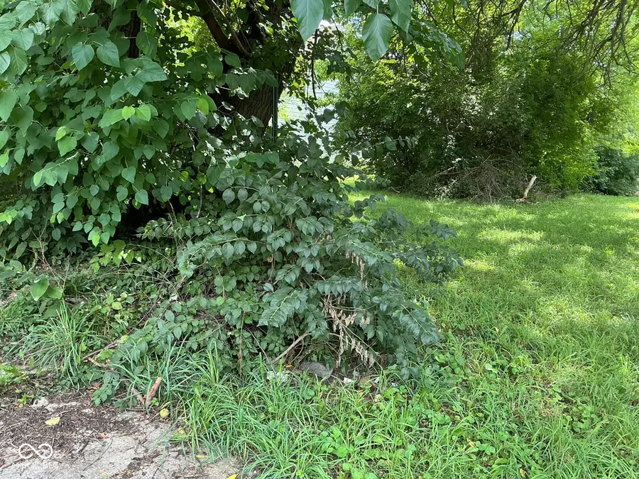 1030 W 29th Street, Indianapolis, IN 46208 - #3