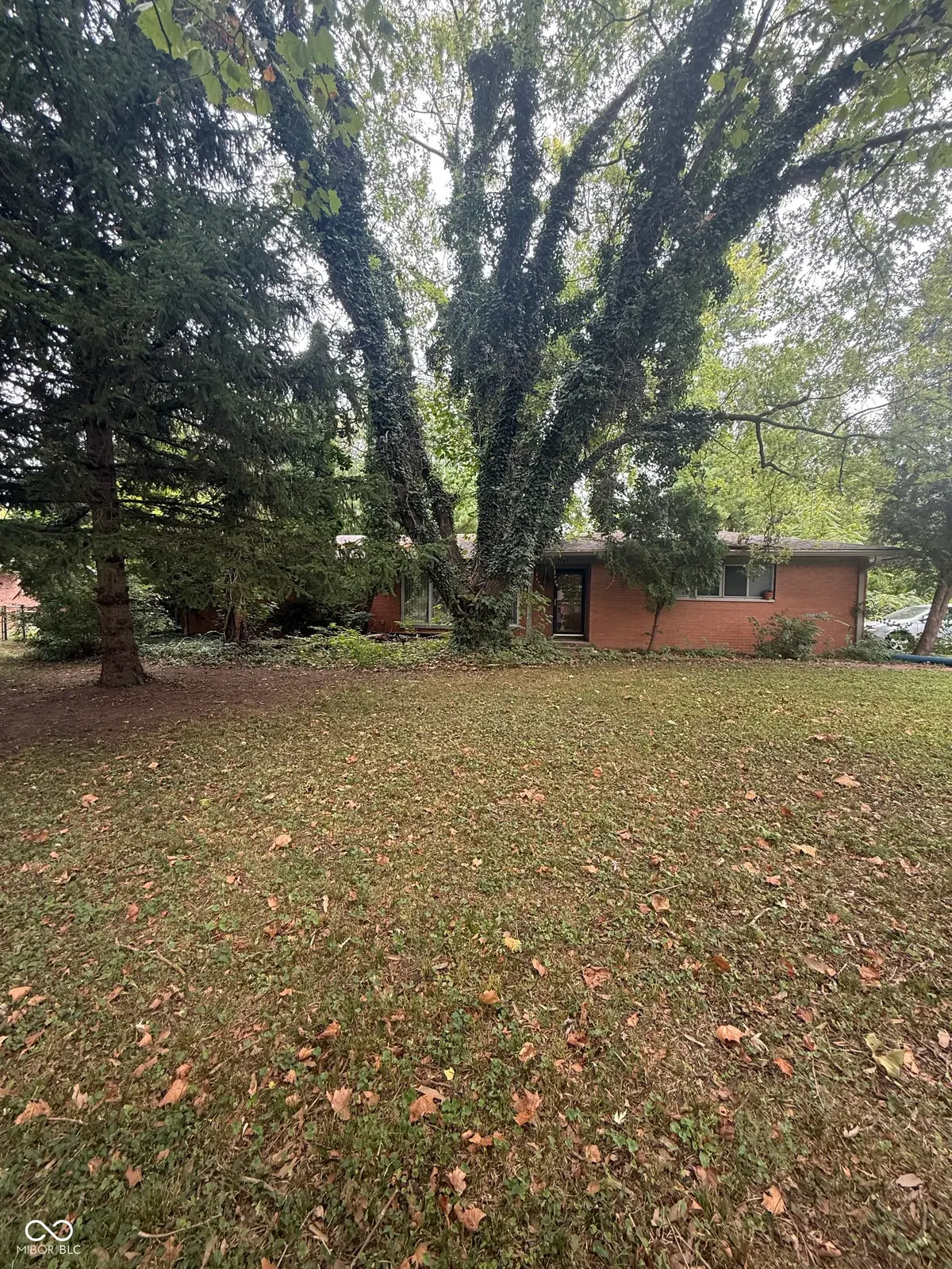 7145 Linden Drive, Indianapolis, IN 46227 - #1