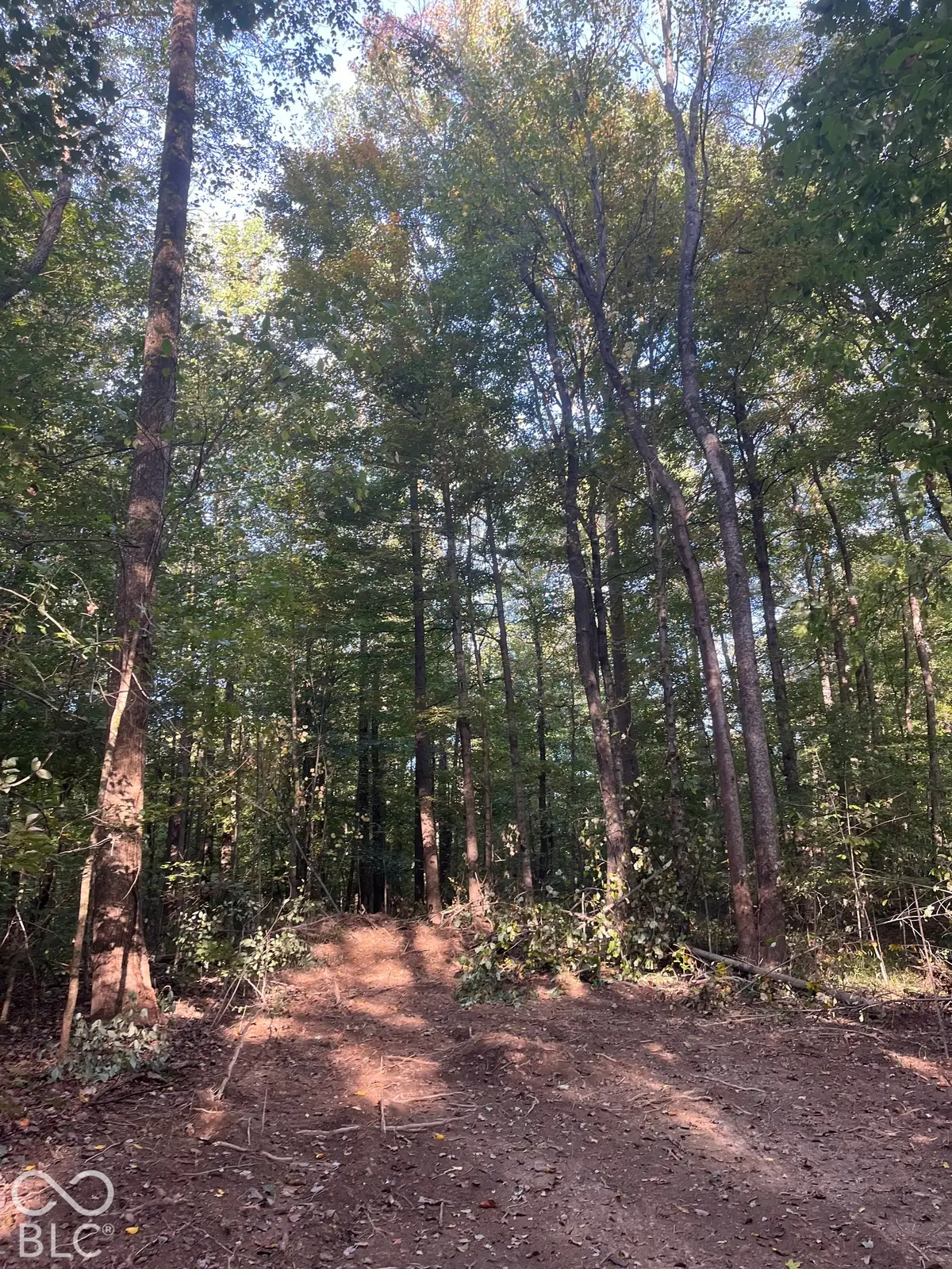 Tract 9 Sunnyside Road, Deputy, IN 47230 - #1
