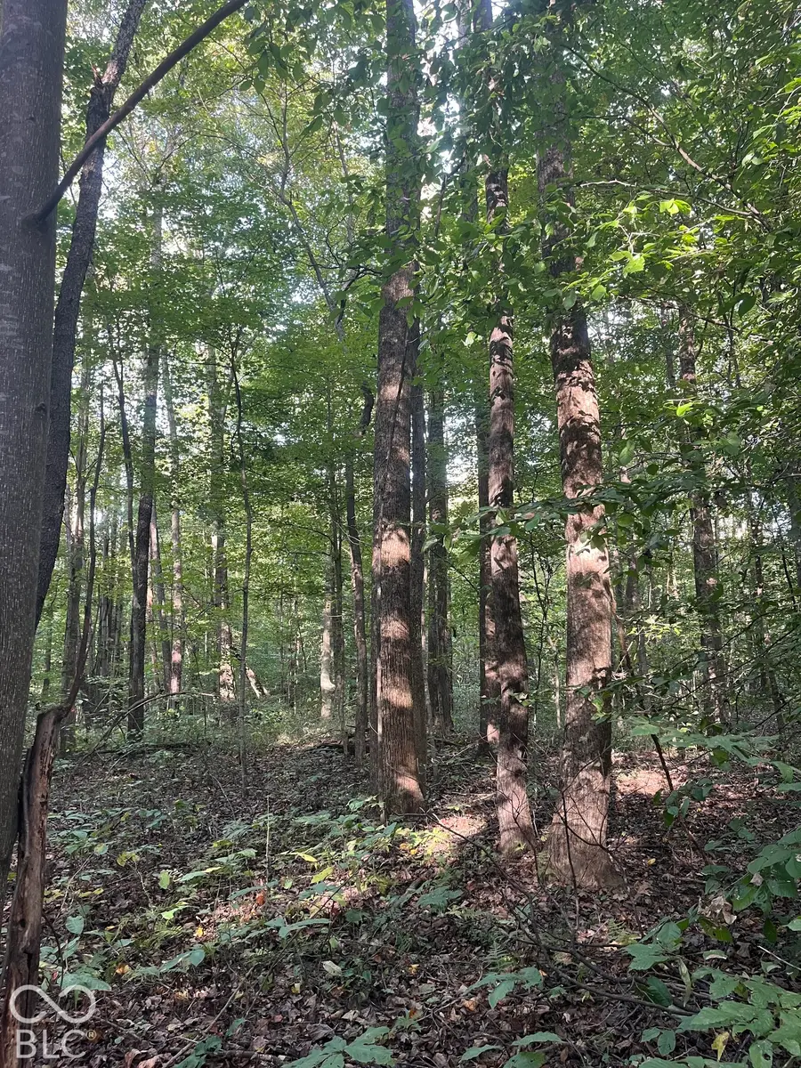 Tract 9 Sunnyside Road, Deputy, IN 47230 - #3