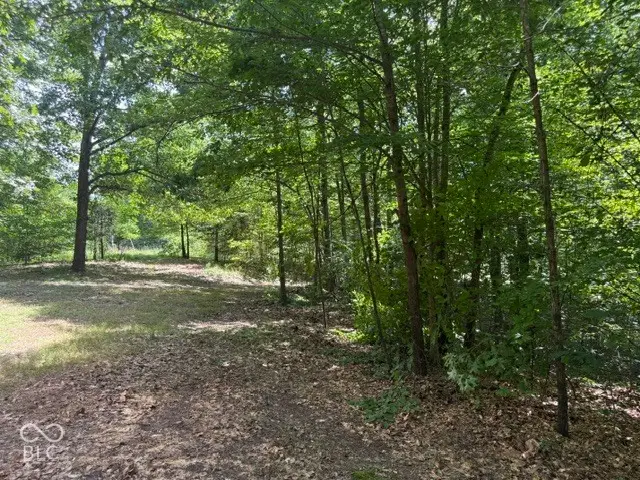 0 Buffalo Pike Road, Freetown, IN 47235 - #1