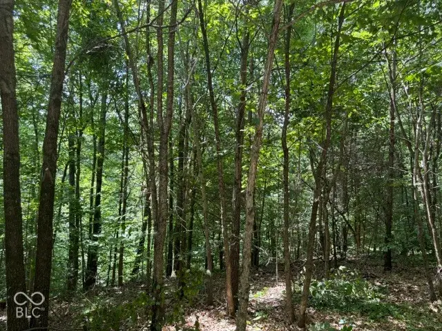 0 Buffalo Pike Road, Freetown, IN 47235 - #2