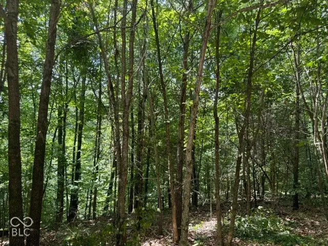 0 Buffalo Pike Road, Freetown, IN 47235 - #3