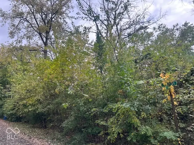 4559 Coburn Avenue, Indianapolis, IN 46228 - #1