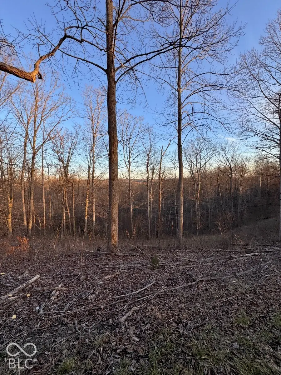 1625 State Road 46 W, Nashville, IN 47448 - #2
