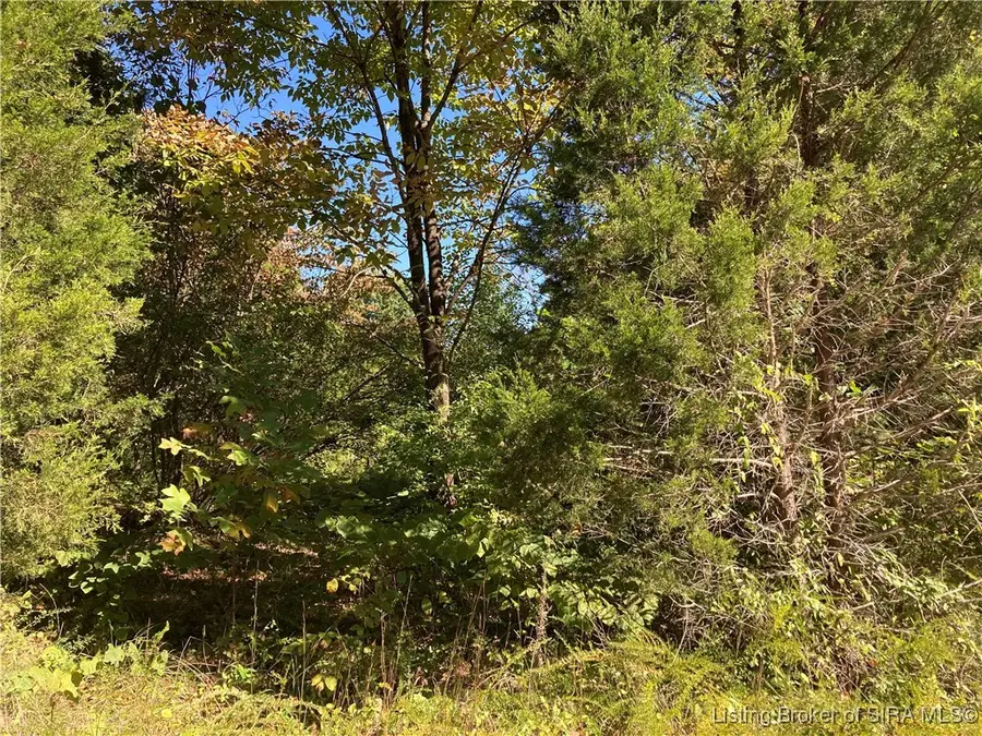 Lots 64-71 & 74-75 S White Oak Drive, Marengo, IN 47140 - Image #3