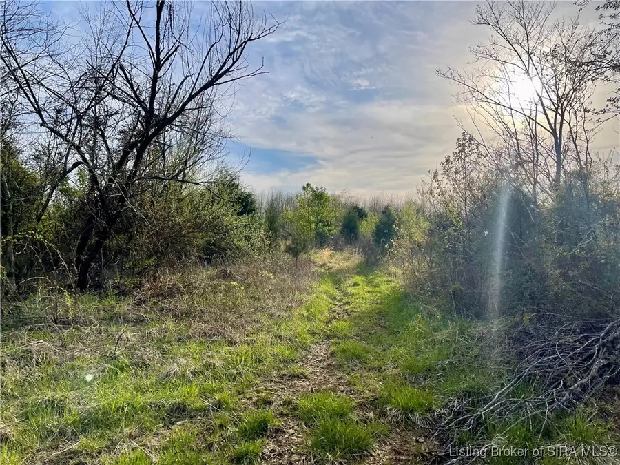 Brownstown Road, Henryville, IN 47126 - Image #3