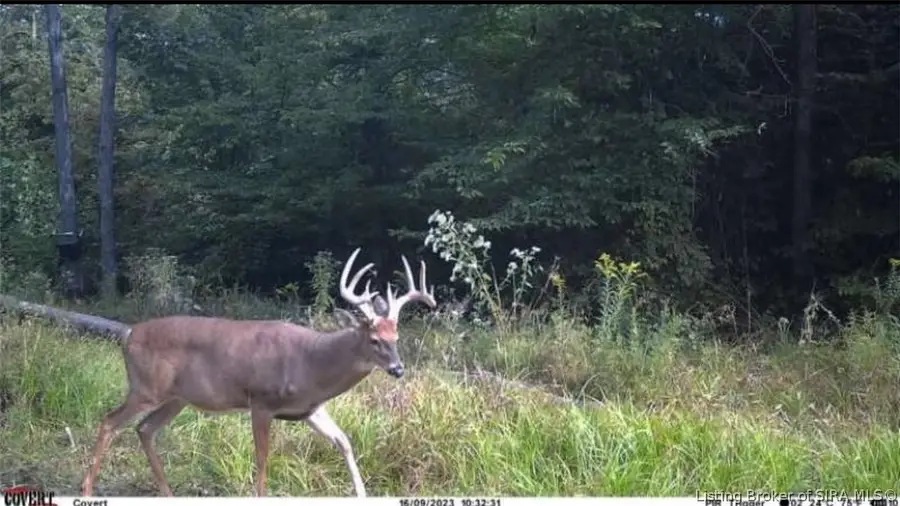 Lot #1 Deer Creek Road, Cannelton, IN 47520 - #3