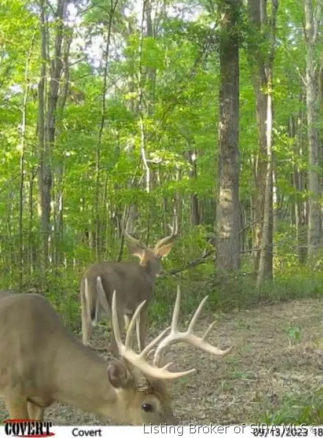 Lot #4 Deer Creek Road, Cannelton, IN 47520 - #3