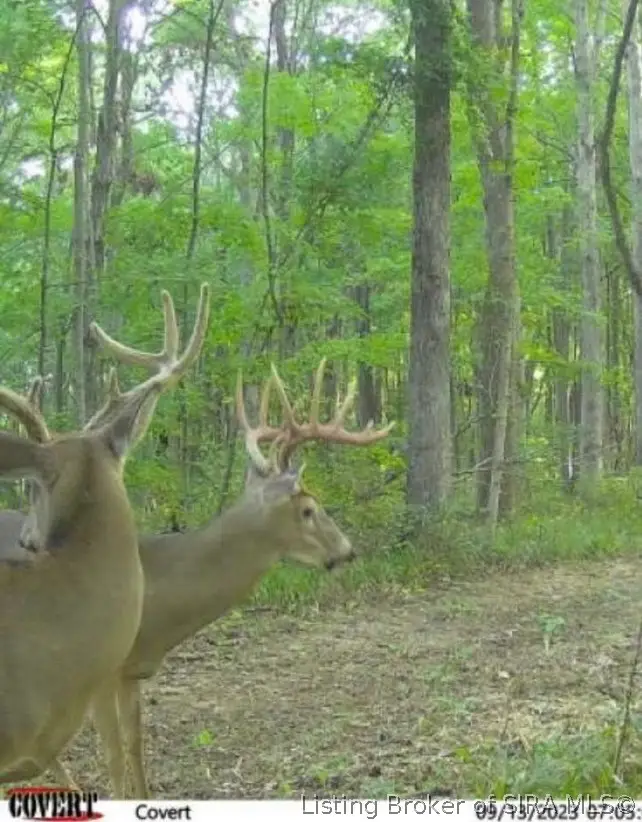 Lot #3 Deer Creek Road, Cannelton, IN 47520 - #3