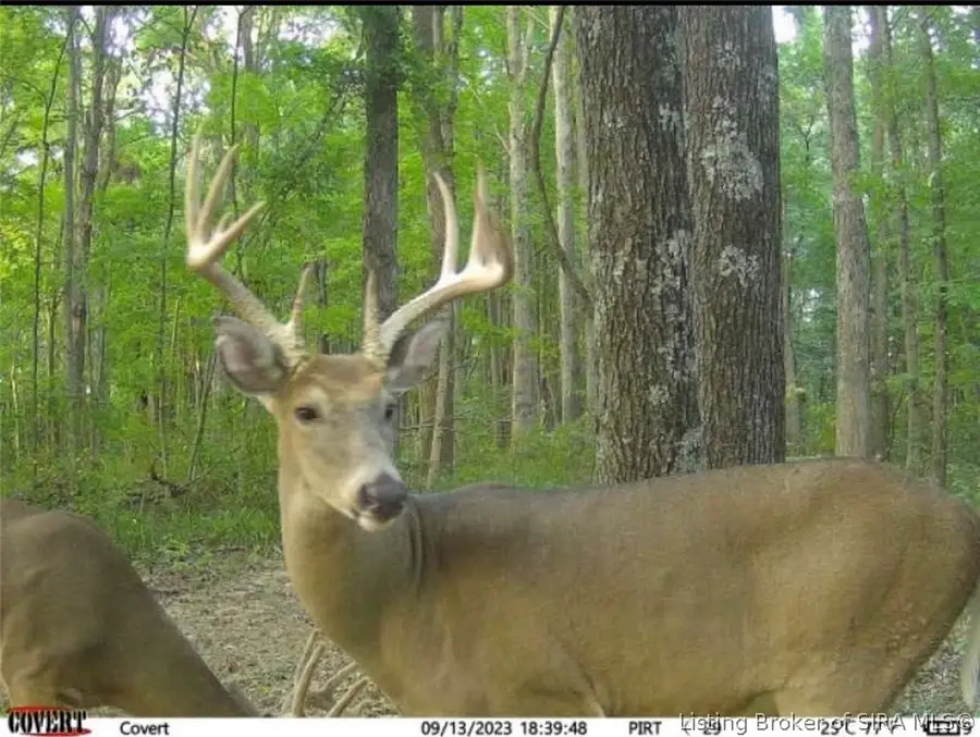 Lot #2 Deer Creek Road, Cannelton, IN 47520 - #2