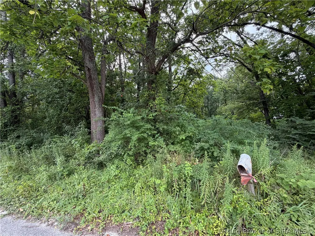 7005 Hwy 311 #311, Silver Creek, IN 47130 - #1