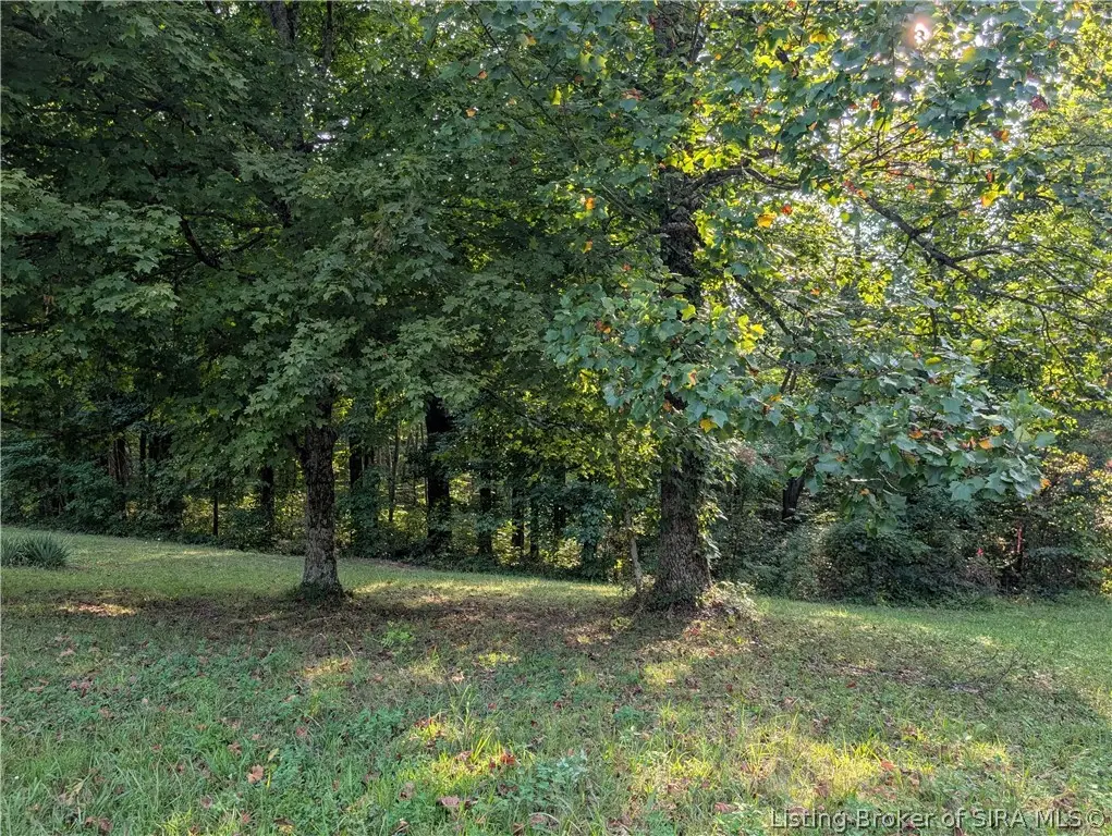 300+ Hackney Lane, Bedford, KY 40006 - #1