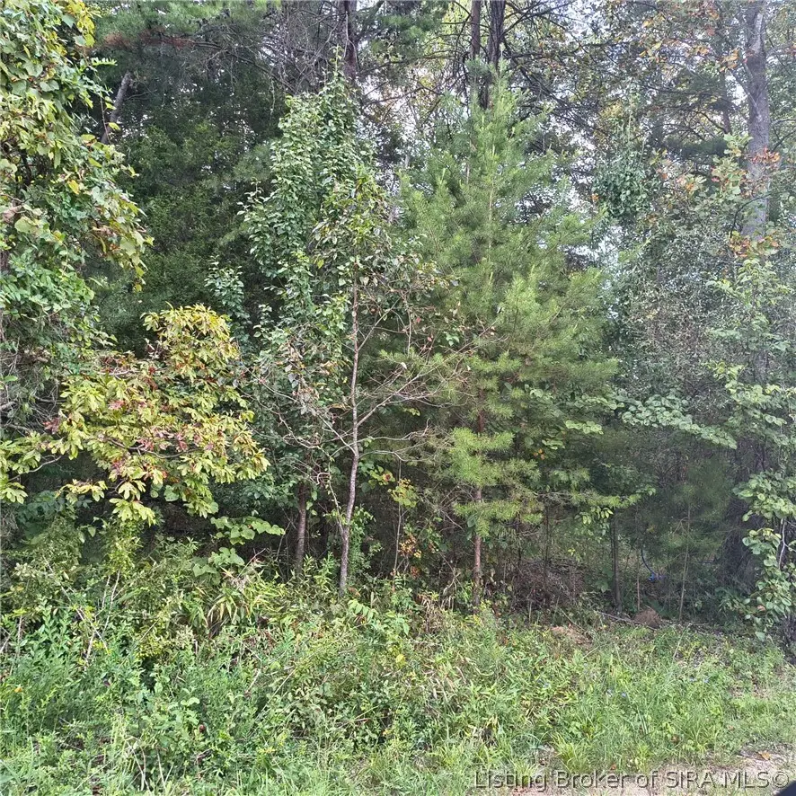 Tract 1 Crooked Lane, Corydon, IN 47112 - #2