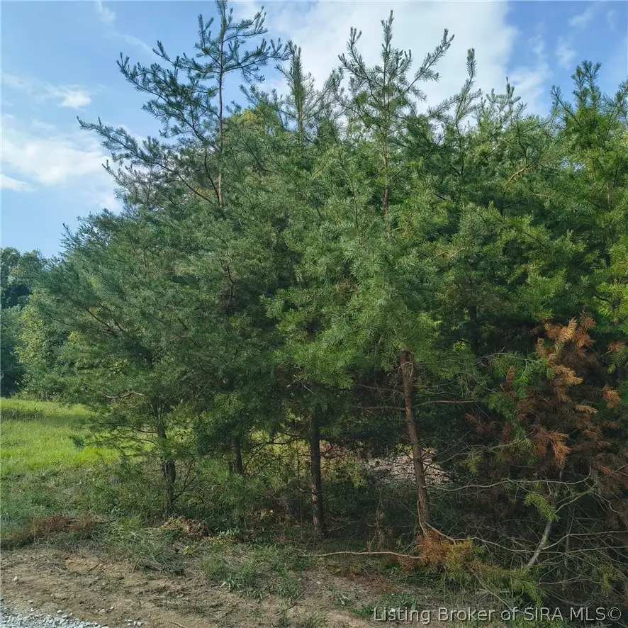 Tract 4 Crooked Lane Nw, Corydon, IN 47112 - #2