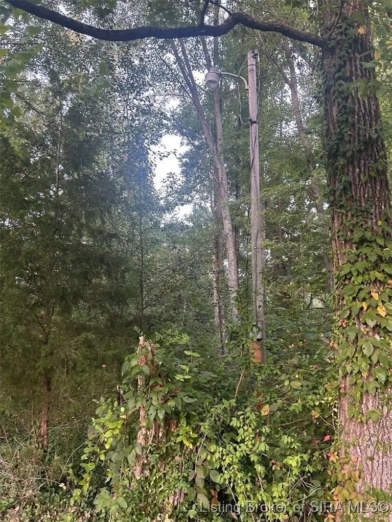 3411 Crone Road, Memphis, IN 47143 - Image #2